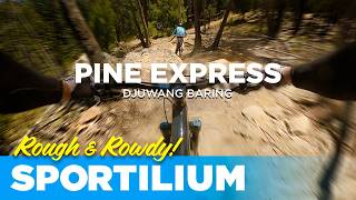 Creswick’s Pine Express (L1): Black Diamond...