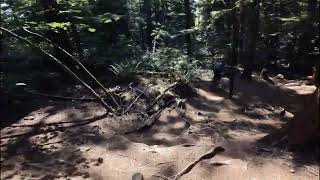 NorthRoadTrailToptoBottom