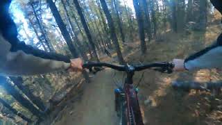 One of the Best X Country Trails in Bragg...
