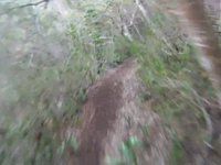 Ma'akua Ridge Trail