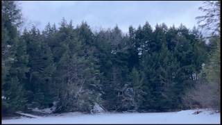 Skiing on a Frozen Lake—EDM soundtrack