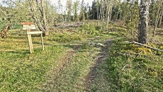 8 may 2024  Hylliskogen: Hyllijordet - Til...