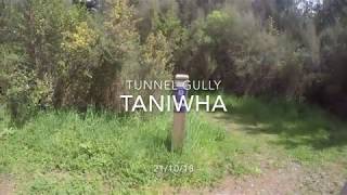 Taniwha : Tunnel Gully 21/10/18