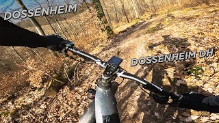 Kronenburger Trail | Steinbrecher Trails