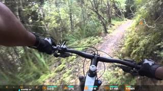 Hunua River Track MTB