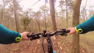 CRT Trail - Carso MTB