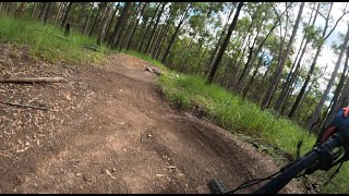 Updated Lorikeet Trail At Samford Conservation...