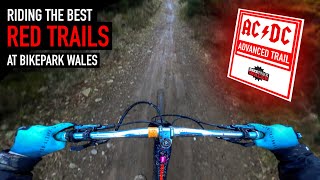 RIDING THE BEST RED TRAILS AT BIKEPARK WALES!!