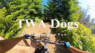 Twa Dogs - what a fun downhiller