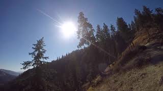 Fruend Descent