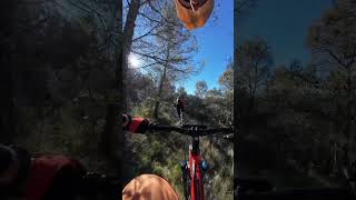 Alicante MTB Trails: Cabolla de la Raposa