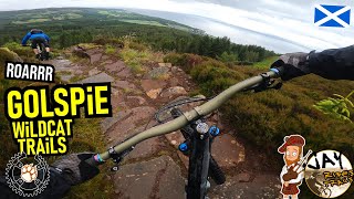 HIGHLANDS Golspie Wildcats: kratzige...