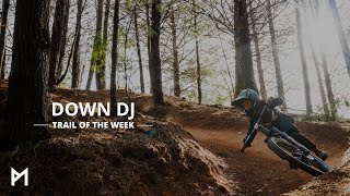 Down DJ | Trail of the week | Mystic Bike Park