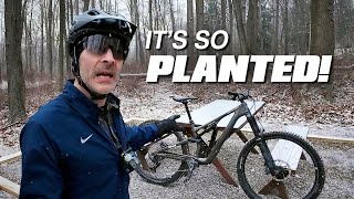 It’s So Planted! – Final Thoughts on The...