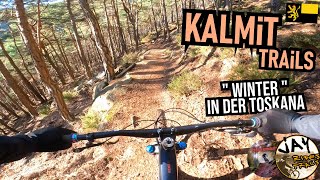 PFÄLZERWALD Kalmit: Weihnachts-Ride im...