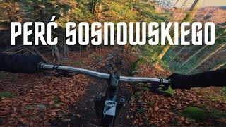 Pewnego razu na Perci Sosnowskiego | PEŁNY...