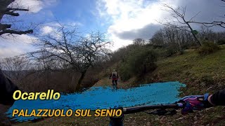 Ocarello, Palazzuolo sul Senio (FI), 25-01-2025
