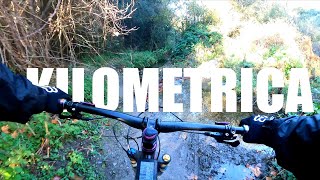 Trialera La kilometrica - Collserola