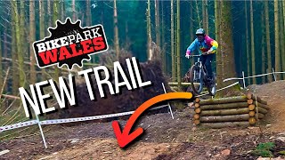 FIRST LOOK AT BIKE PARK WALES' NEWEST TRAIL!