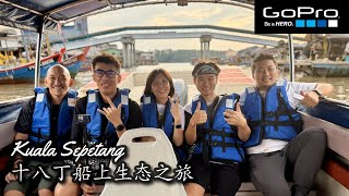 Exploring Kuala Sepetang: Mangroves, Eagles,...