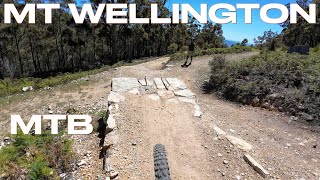 Mt Wellington MTB - Sexual Soil | Red Wine |...