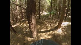 Well Shot Whiskey Run Trails
