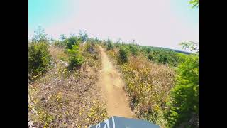 Upper Copperhead Road Whiskey Run Trails