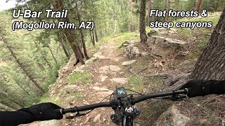 Cabin Loop - U-Bar Trail (Mogollon Rim, AZ)
