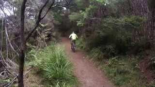 Biking the Queen Charlotte Track