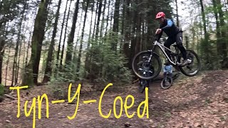 Tyn-Y-Coed.. A Welsh Wonder 