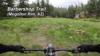 Cabin Loop - Barbershop Trail (Mogollon Rim, AZ)