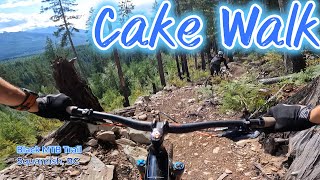 Amazing Squamish Black Trail - CakeWalk