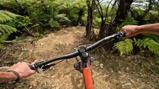 Raewyns Rampage @ Arapuke Forest.