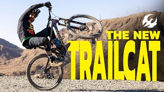 BYE BYE Trail 429 - Pivot Trailcat Meowvin In...