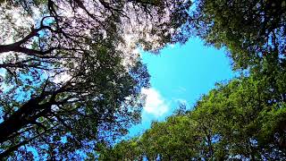 ASMR: Lunch nap at top of Unhinged Trail, St....