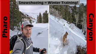 Winter cross-training in Pharo Canyon |...