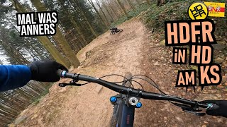 HEIDELBERG Königstuhl: Tannenzäpfle, neuer...