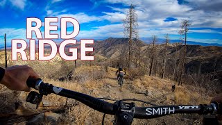 New Trail Day | Red Ridge, Tucson Arizona with...