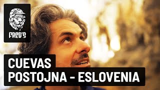 Visita a las cuevas de postojna en Eslovenia...