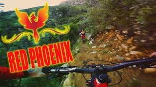 The Red Pheonix Trail | Mountain Biking...