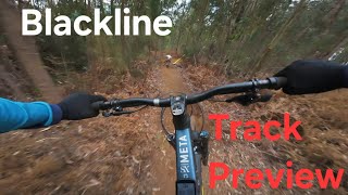 Madeira MTB || 1st Downhill Cup 2025 BLACKLINE...
