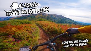 Alaska: Living The Wild Life - An MTB Road Trip
