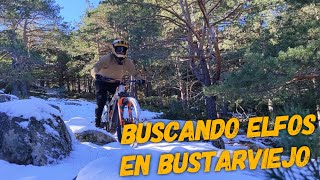 ‍♀️ ⛄️ Bosque de los Elfos ‍♂️...