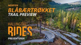 Blåbærtrøkket - Nesbyen, Norway - Trail preview