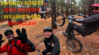 Are these the best bits of the Swinley Forest?...