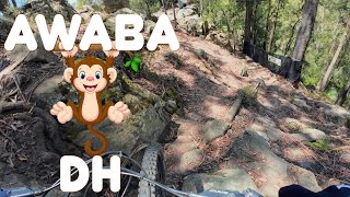 Awaba Monkey DH Top to Bottom