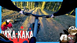 Haka Kaka -  Heidelberg Königstuhl  //...