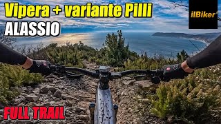 Vipera + variante Pilli