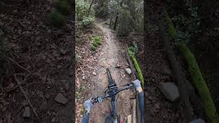 Gustin - Konca Verde, Savona, Italy - 2025 Jan 29