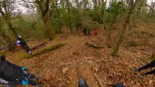 Il Cinghialino - Montagnola Senese